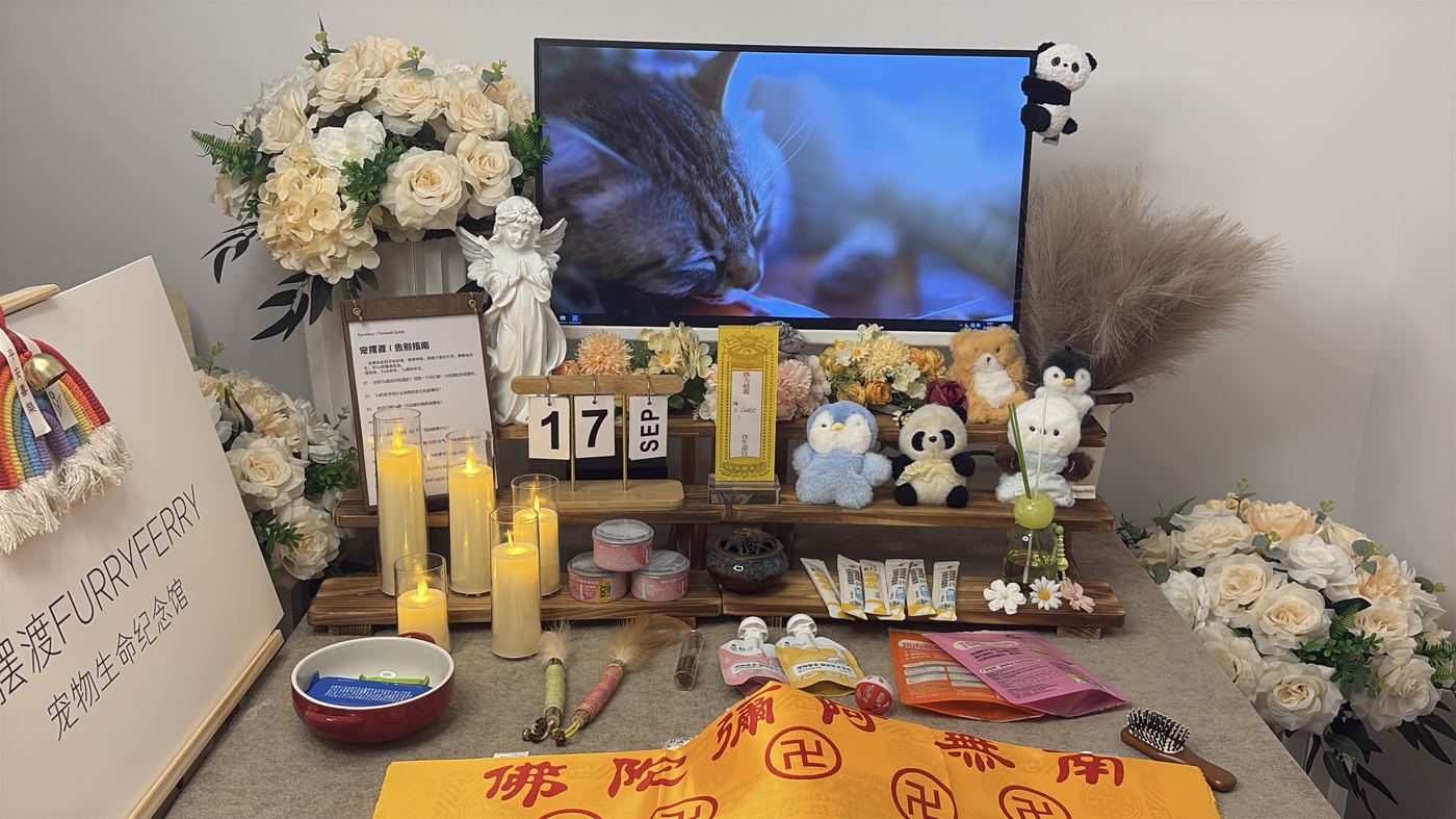 如何面对宠物离世的悲伤？写给开封养宠人的心理支持